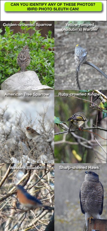 Imagen 0 para iBird Photo Sleuth