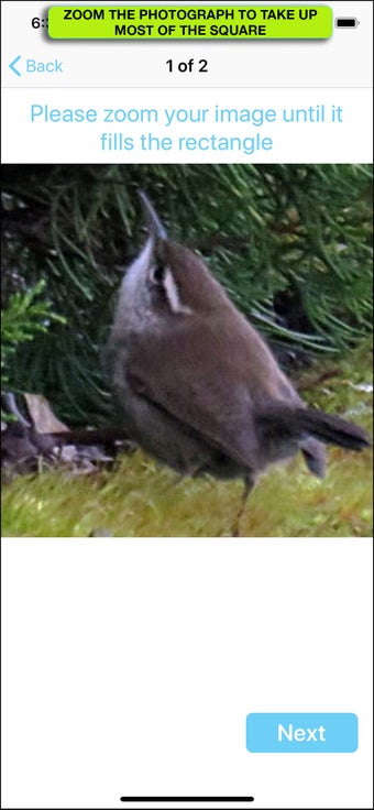 Imagen 1 para iBird Photo Sleuth