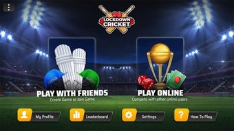 Image 0 for Lockdown Cricket