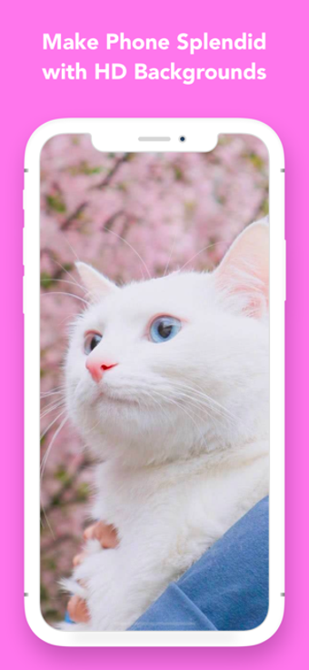 Image 2 for NoxLucky - 4K Live Wallpa…