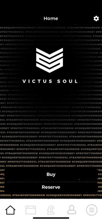 Image 2 for Victus Soul
