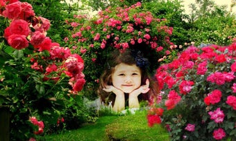 Image 3 for Garden photo frames new
