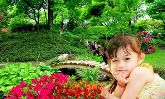 Image 2 for Garden photo frames new