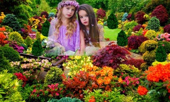 Image 0 for Garden photo frames new