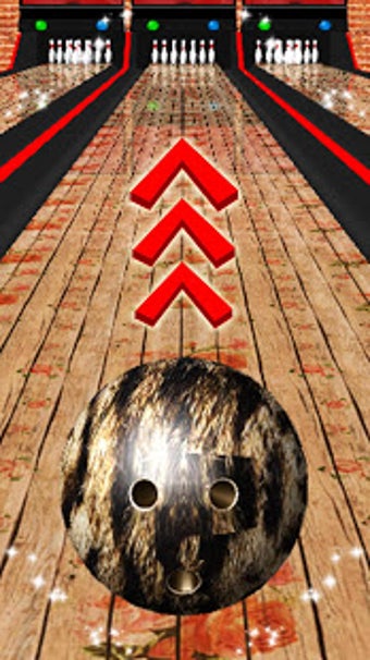Image 2 for Bowling champion