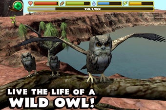 Imagen 2 para Owl Simulator