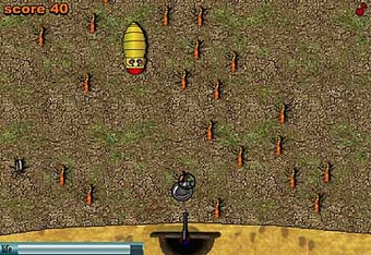 Image 0 for Ants Survivor