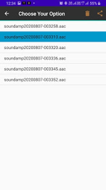 Imagen 1 para Sound Amplifier and Recor…