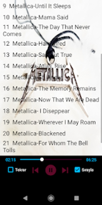 Imagen 0 para Metallica Best Songs Offl…