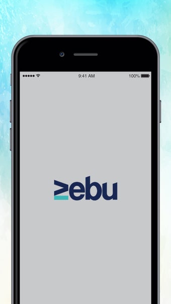 Image 1 for ZEBU TRADE