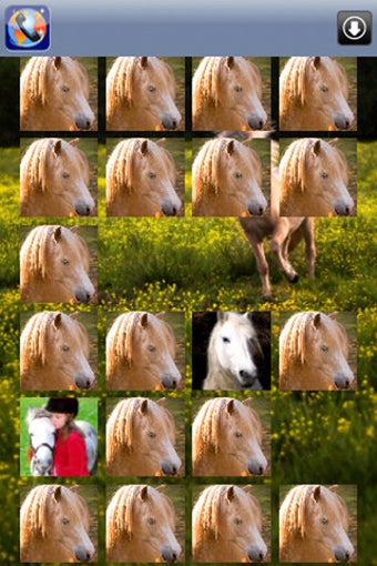 Image 1 for Horse Pairs