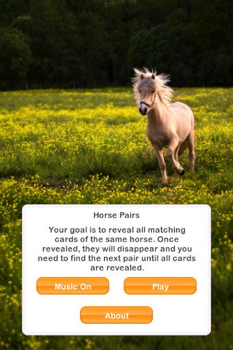Image 0 for Horse Pairs