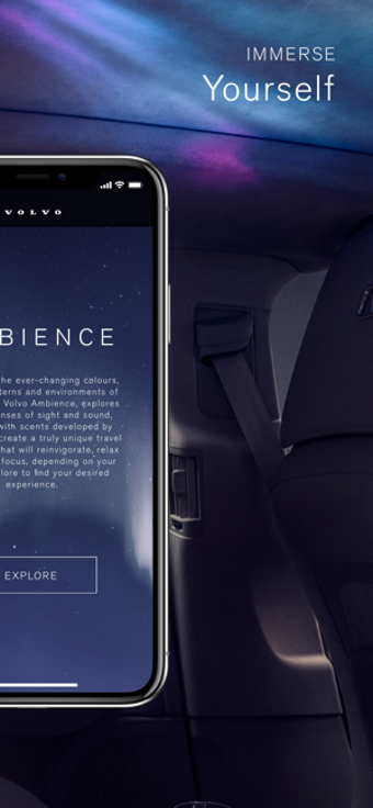Image 2 for Volvo Ambience