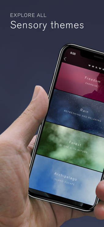 Image 3 for Volvo Ambience