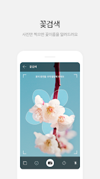 Image 3 for - Daum