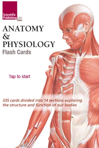 Imagen 0 para Anatomy & Physiology Flas…
