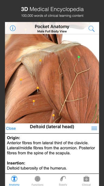 Image 1 for Pocket Anatomy (2018)