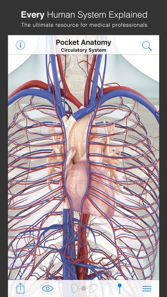 Image 0 for Pocket Anatomy (2018)