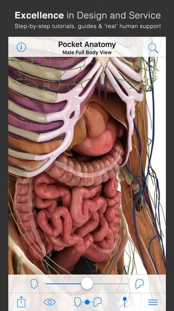 Image 3 for Pocket Anatomy (2018)