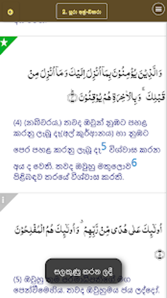 Image 0 for ACJU Sinhala Quran