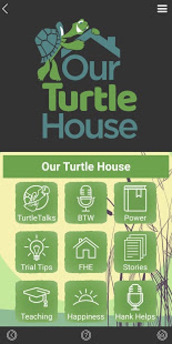 Image 0 for Our Turtle House
