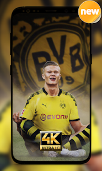 Imagen 0 para Erling Braut HAALAND Wall…