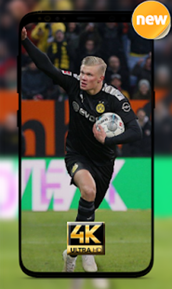 Imagen 3 para Erling Braut HAALAND Wall…