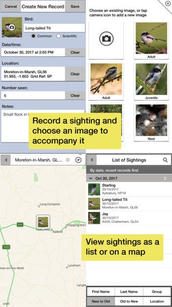 Image 7 for Birds of Britain Pro: A F…