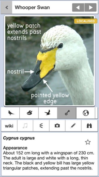 Image 5 for Birds of Britain Pro: A F…