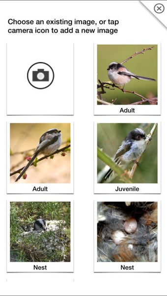 Image 6 for Birds of Britain Pro: A F…