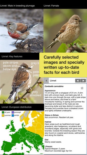 Image 0 for Birds of Britain Pro: A F…