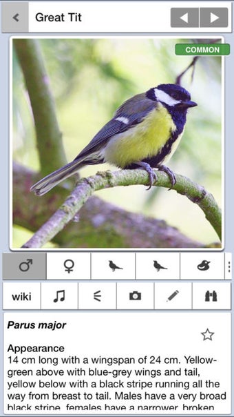 Image 4 for Birds of Britain Pro: A F…