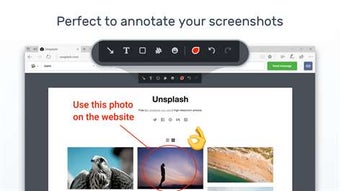 Imagen 1 para Marker: Screen capture to…