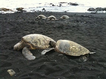 Image 6 for Aloha Hawaii Photos - Pic…
