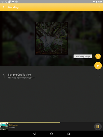 Imagen 2 para Rocket Player Gold Theme