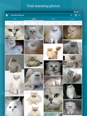 Imagen 7 para Microsoft Bing Search