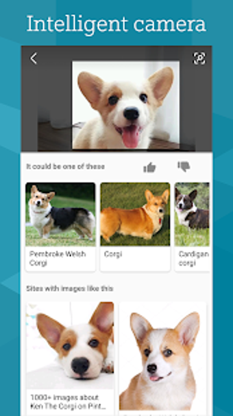Imagen 0 para Microsoft Bing Search