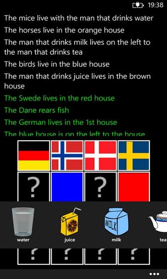 Image 0 for Einstein's Riddle for Win…