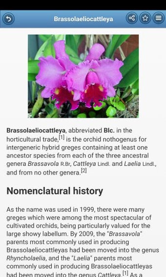 Imagen 1 para Houseplants