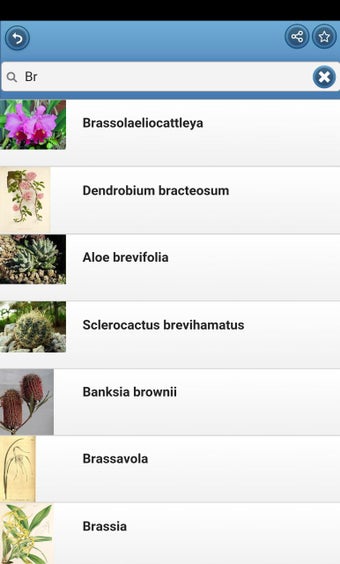 Imagen 3 para Houseplants