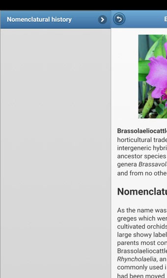 Imagen 0 para Houseplants