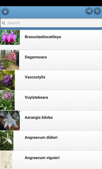 Imagen 2 para Houseplants