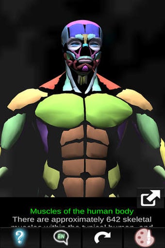 Image 0 for Muscular System 3D (anato…