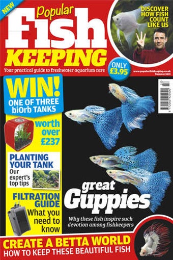Image 0 for Popular Fish Keeping The …