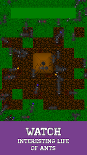 Image 3 for Ant Evolution