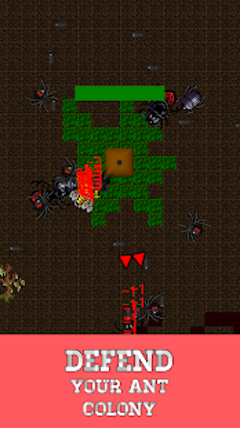 Image 0 for Ant Evolution