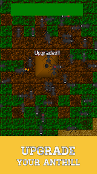 Image 2 for Ant Evolution
