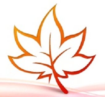 Image 1 for MindMaple Pro