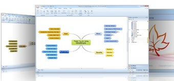 Image 0 for MindMaple Pro