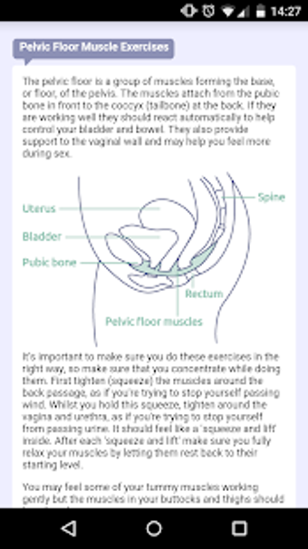 Imagen 2 para Squeezy: NHS Pelvic Floor…